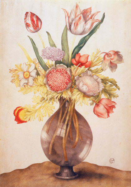 G.Garzoni, Tulpen, Mohn u.Päonie od Giovanna Garzoni