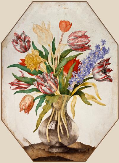 G.Garzoni, Tulpen und Hyazinthe