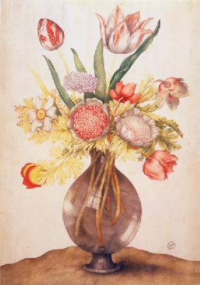 G.Garzoni, Tulpen, Mohn u.Päonie