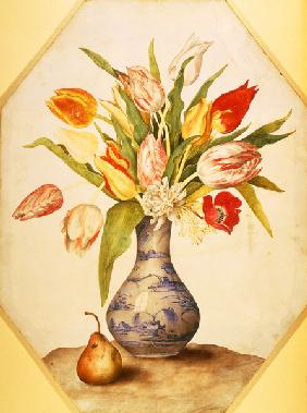 G.Garzoni, Tulpen und Birne