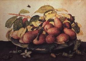 Pears with Hawthorns