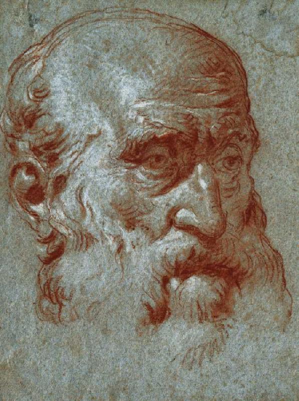 Venezianischer Patrizier im Dreiviertelprofil. od Giovanni Battista Tiepolo