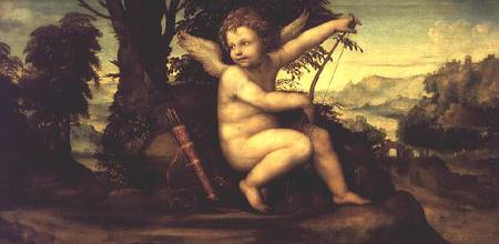 Cupid in a Landscape od Giovanni Bazzi Sodoma