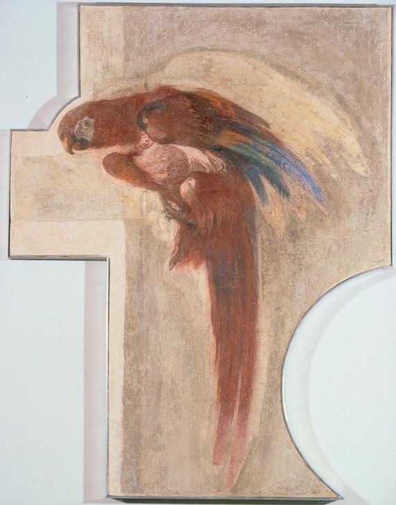 Parrot od Giovanni Domenico Tiepolo