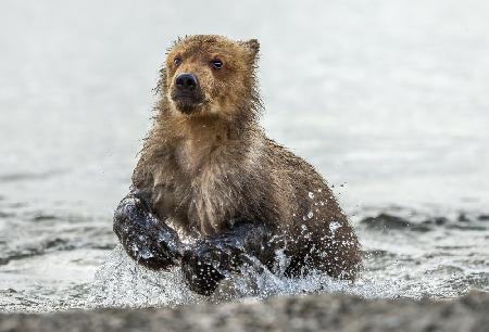 Ran into the water