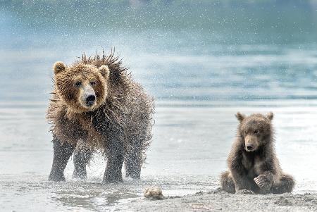 Shaking - Kamchatka, Russia