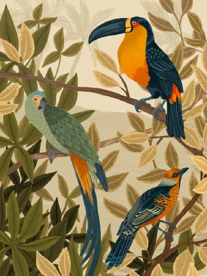 Paradise Birds