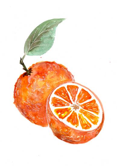 Juicy Oranges