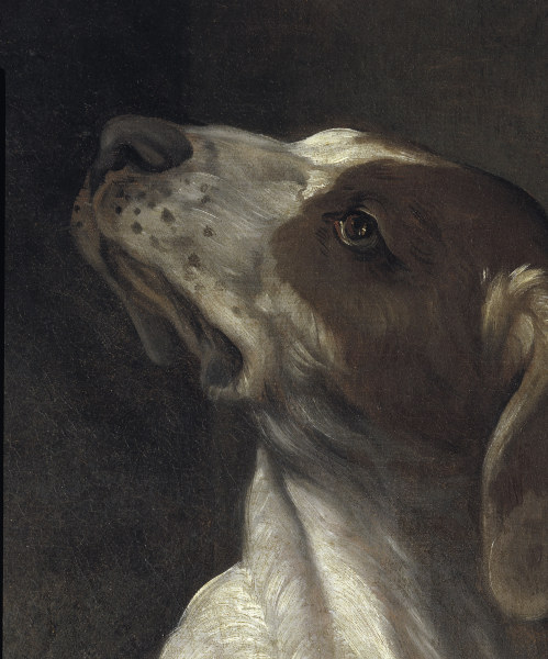 Reni / St.Roche / Detail: dog / c.1617 od Guido Reni