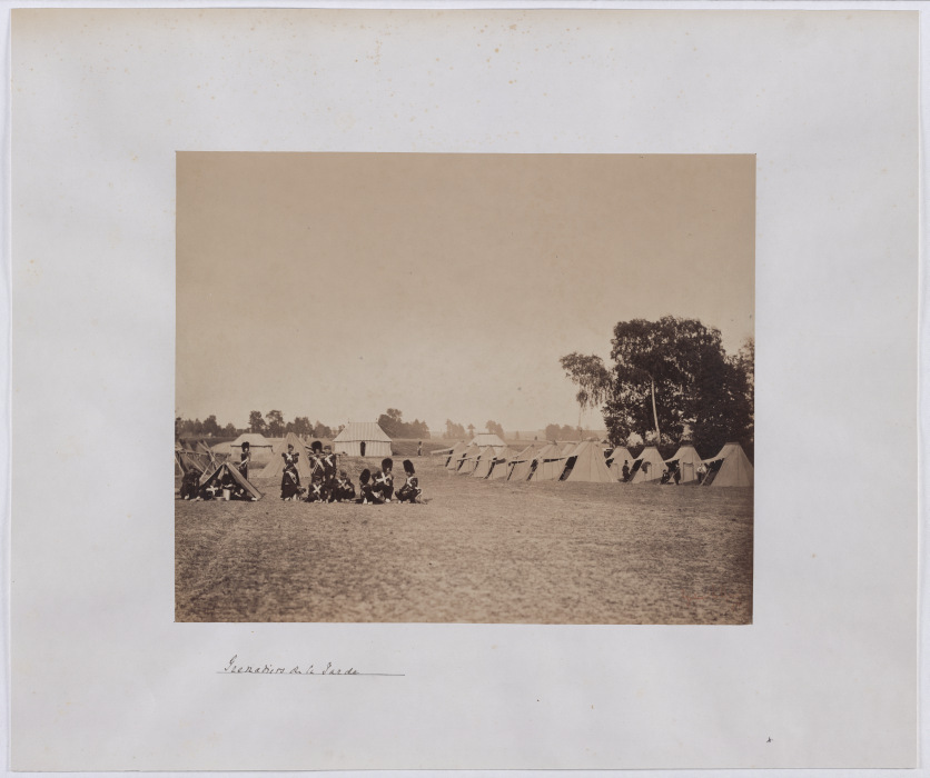 Manoeuvre at Châlons-sur-Marne: "Grenadiers of the Guard" od Gustave Le Gray