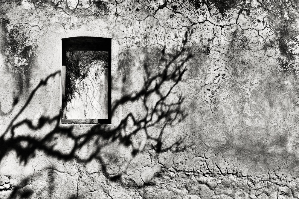 The veins of time od Gustavo Marquez