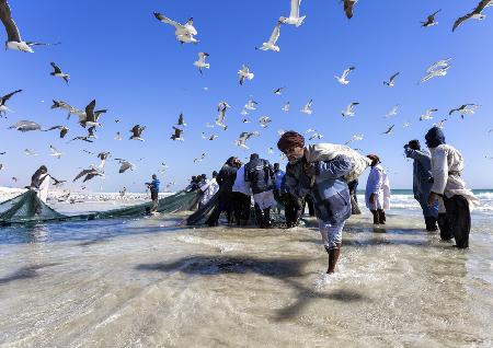 Old Fisherman from Oman