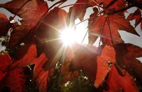 Herbst in Berlin