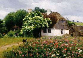 Flower Meadow next to the Fam