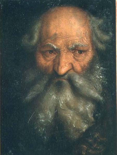 Head of an Old Man od Hans Baldung Grien