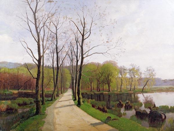 Spring Landscape