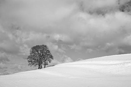 A cloudy winter day