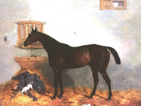 Thoroughbred in a Stable od Harry Hall