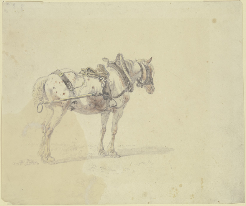 Harnessed horse od Heinrich Bürkel