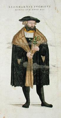 Portrait of of the author age 41, from 'De Historia Stirpium Commentarii Insignes', by Leonard Fuchs od Heinrich Fullmaurer