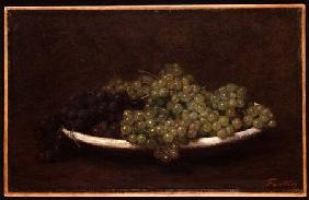 Still Life of Grapes