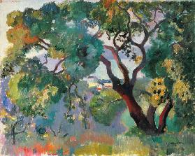 Landscape in Saint-Tropez, 1905