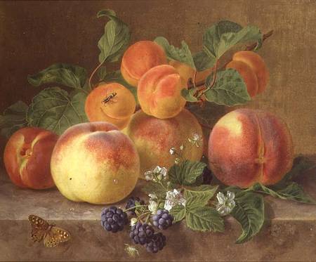 Still Life of Peaches od Henrietta Ronner-Knip
