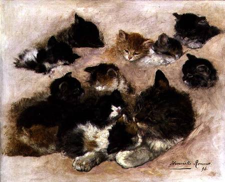 Study of cats and kittens od Henrietta Ronner-Knip