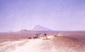 Desert Landscape