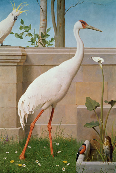 Indian Crane, Cockatoo, Bullfinch and Thrush od Henry Stacey Marks