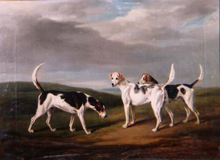 Foxhounds in a Landscape od Henry William Banks Davis