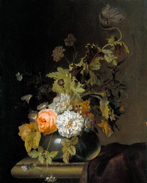 Flower Study od Herman van der Myn