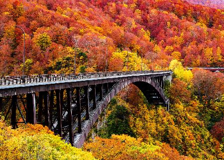 The art arch bridge