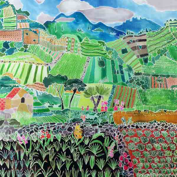 Cabbages and Lilies, Solola Region, Guatemala, 1993 (coloured inks on silk)  od Hilary  Simon
