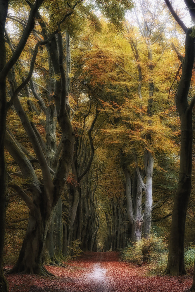 autumnsphere od Hilda van der Lee