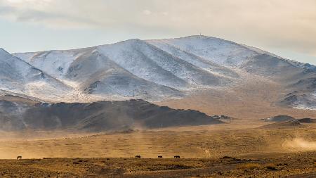 Landscape of Altai Mountain range 2