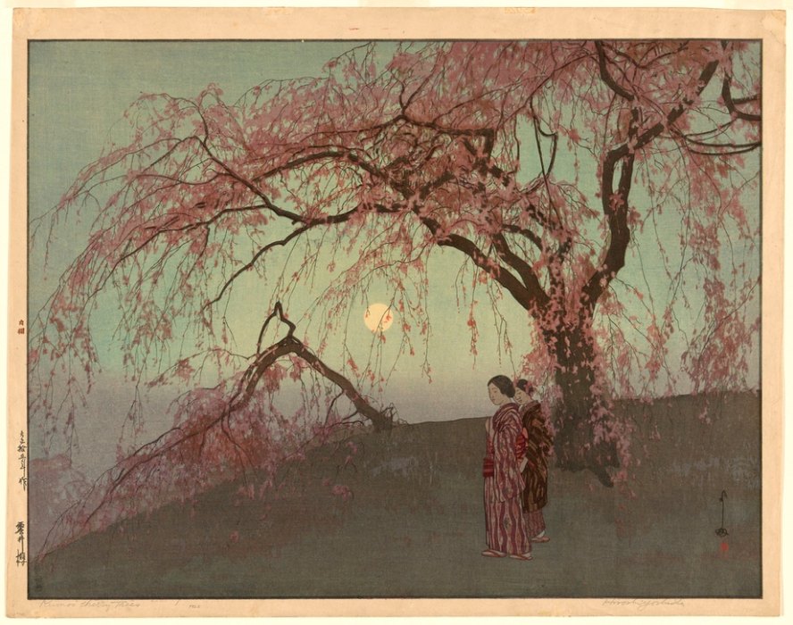 Kumoi Cherry Trees (Kumoi sakura) od Yoshida Hiroshi