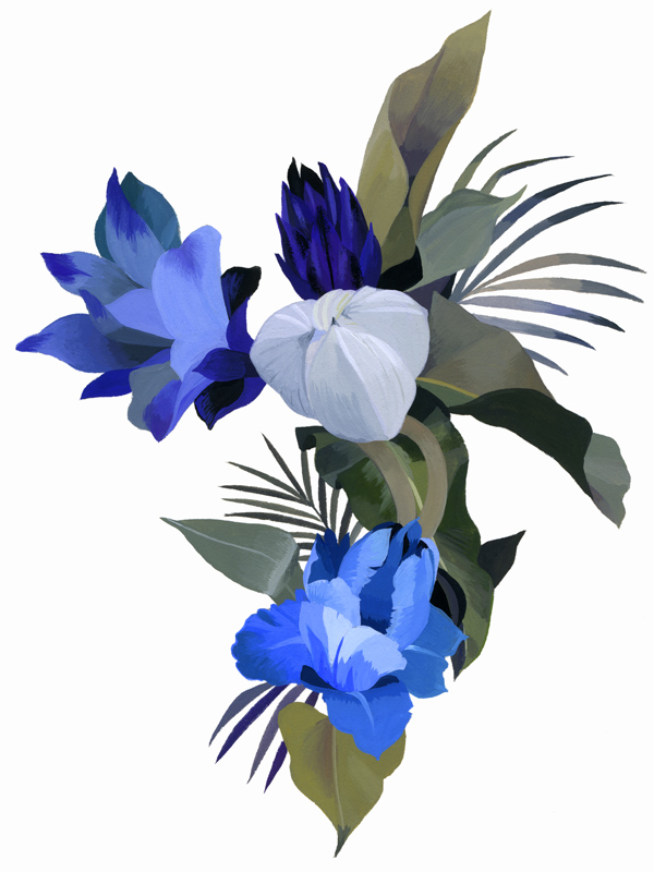 White flowers and light blue flowers od Hiroyuki Izutsu