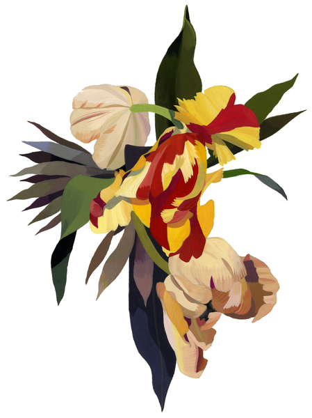 Tulip parrot 3 od Hiroyuki Izutsu