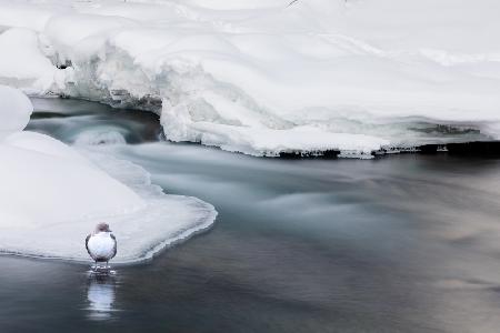 Flow under ice and snow