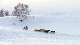 Racing on snow