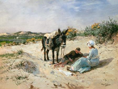 In the dunes