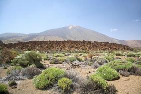 landscape with volcano