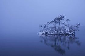 Snowy morning