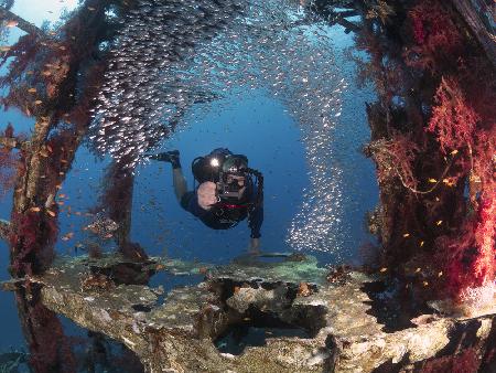 Diver and Pygmy Sweepers