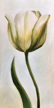 White tulip 1 od Ingeborg Kuhn