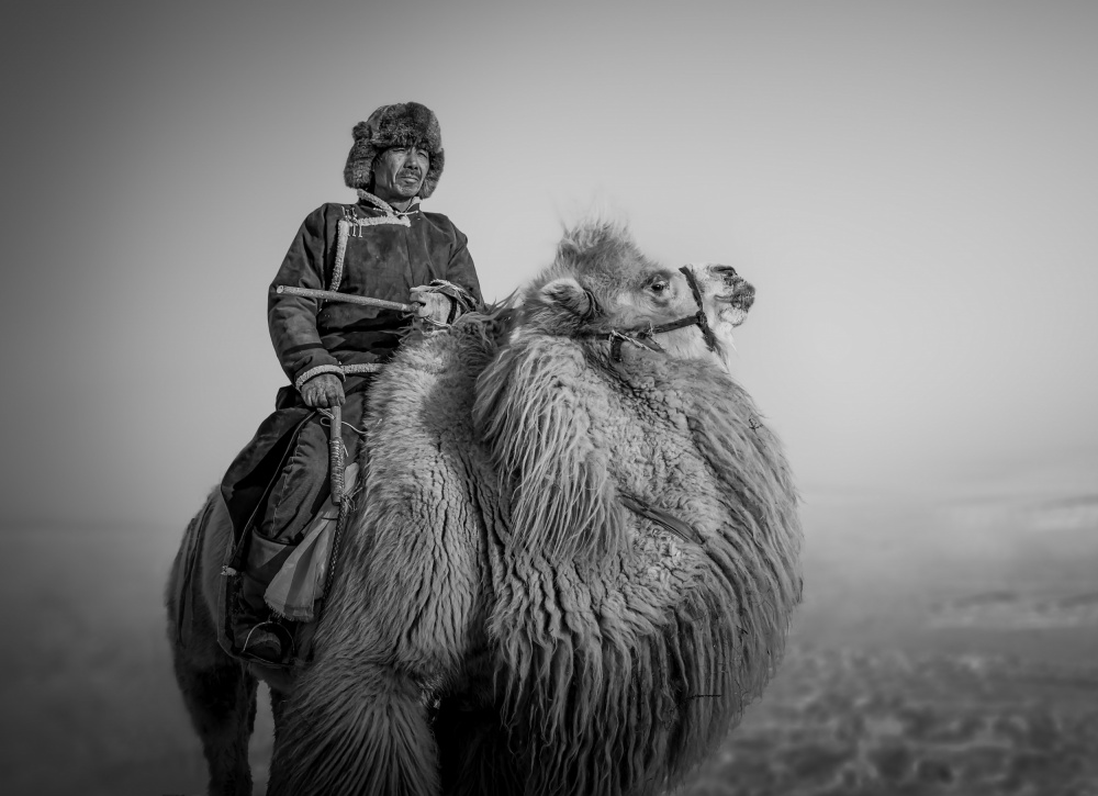 Farmer and His Camel od Irene Wu