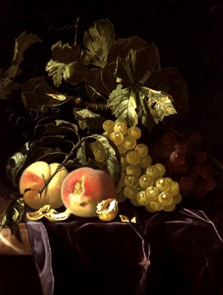 Still Life of fruit, nuts and leaves on velvet cloth od Isaak Denies