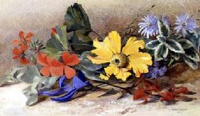 Still Life - mixed Flowers