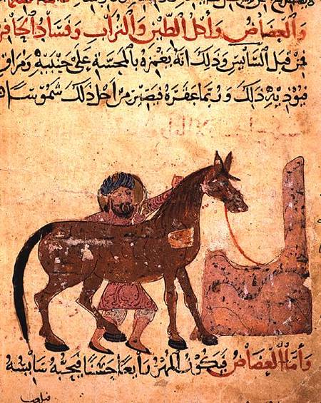 Caring for the horse, illustration from the 'Book of Farriery' by Ahmed ibn al-Husayn ibn al-Ahnaf od Islamic School